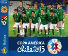 Bolivya, Copa America Şili 2015'a grubu seçimi